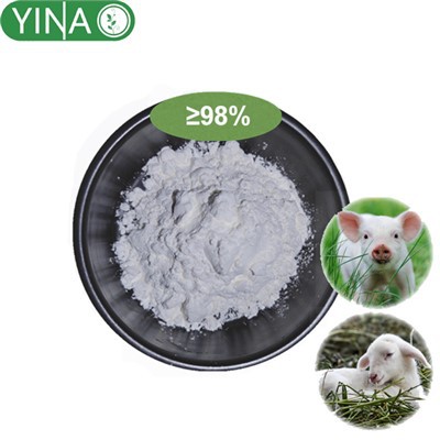 Какие меры предосторожности следует соблюдать при применении порошка празиква...